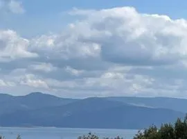 Malamo