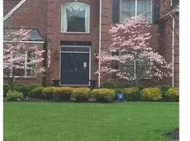 Comfortable, spacious, 1bdrm basement apartment, sleeps 4