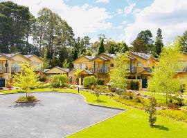 Falls Mountain Retreat Blue Mountains, hotel in Wentworth Falls
