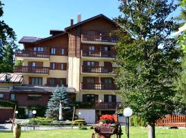 Hotel Bucaneve, Hotel in Bardonecchia