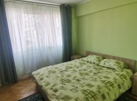 Modern Room With A Great Sunrise, habitación en casa particular en Timisoara