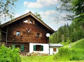 Ski- und Sommer-Chalet für 10 Personen in Dienten am Hochkönig