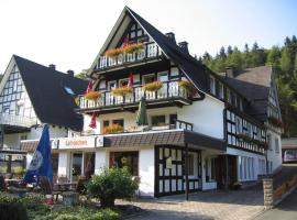 Pension & Ferienhaus Latröpchen, hotel en Schmallenberg