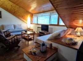 APARTAMENTO MUY CÉNTRICO con VISTAS - El Niuet de Sort, ski resort in Sort