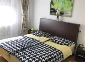 Zen apartman, apartamento em Szolnok