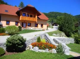 Apartments Trebušak