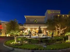 Hotel Araiza Mexicali