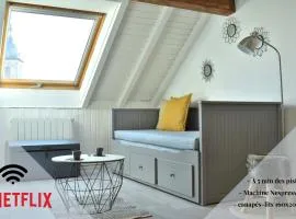 Charmant studio, le petit gris des montagnes