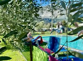 AB&C Arco Bed And Camping