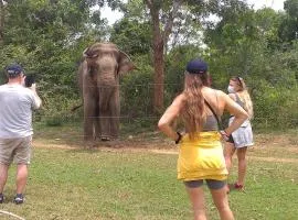 Nature Lovers Safari Villa