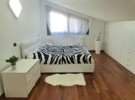 Casa di Vika