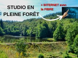 Saint-Hilaire-les-Courbes에 위치한 홀리데이 홈 Studio aux Sources de la Chabanne