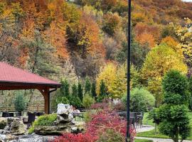 Hotel RAS Pazarište, отель в Нови-Пазаре