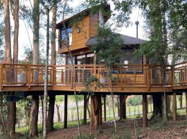 Casa na Árvore Morada dos Vagalumes: Farroupilha'da bir otel