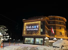 Balsoy Mountain Hotel, hótel í Erzurum