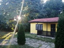 Морска База Венера