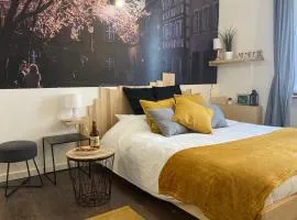 Le Garden Studio Centre-ville Mulhouse