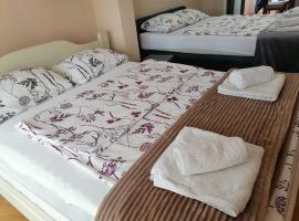 Apartman Solomonovic, hotel in Golubac