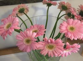 Fedaia Joy B&B, hotel v destinaci Canazei