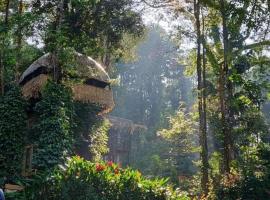 Jungle Jive Tree House Munnar, campsite in Munnar