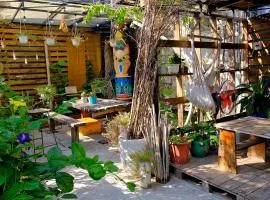 NĂM ẤY HOMESTAY