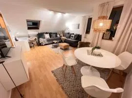 Gemütliches Appartement an der Riß