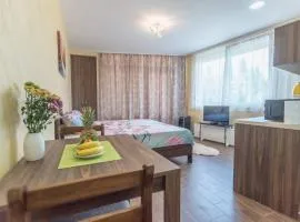 Drina apartman