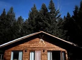 Dream Cabin, hotel económico em Lone Butte