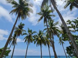 Camotes Palanas Beach Stay, parkolóval rendelkező hotel Himensulan városában