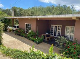 Keshiya Holiday Home, vila v destinaci Nuwara Eliya