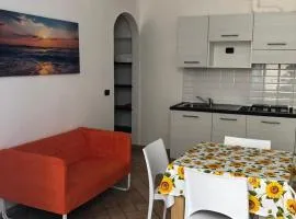 Bilocale in centro a 100m dal mare - AAUTSV12669