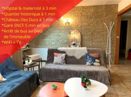 Charmant appart sous toits proche Château des Ducs: Chambéry şehrinde bir ucuz otel