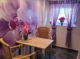 Ferienwohnung Jasmin in Schönau bei Heidelberg FEWO 4 Souterrain