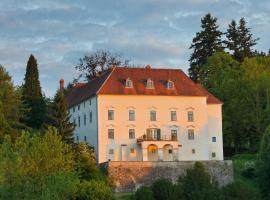Schloss Ernegg、Steinakirchen am Forstの駐車場付きホテル