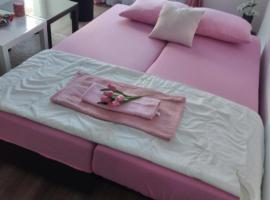 Apartman Cer, Hotel in Banja Koviljača