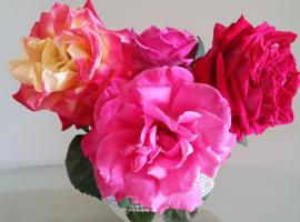 Mirador Balc&oacute;n de Jand&iacute;a