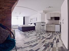 Moderne Wohnung Schwarzwald - In bester Lage direkt am Fluss, מלון בבאד ווילבאד