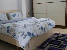 Bledi's Cozy Apartment in New Blvd