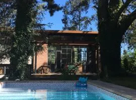 El bosque serrano