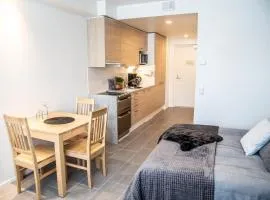 Levillenet SkiStar Superior Studios