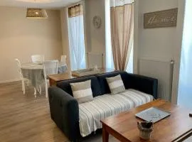 La maison Virginie appartements climatisés de 1 à 5 pers cosy hyper centre cour parking linge fibre proximité port lac canal piscine
