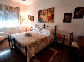 B&B Rosa