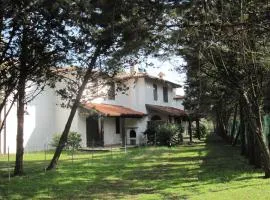 Viale Algeria 94