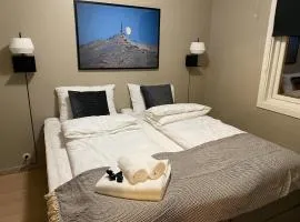 Big central house, free parking, wifi, 3 bedrooms、ナルヴィクのコテージ