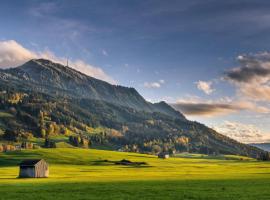 Allgäuer Heimat, hotel dicht bij: Breitensteinlift 2, Rettenberg