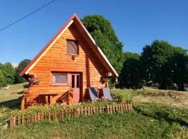 Nikitovic house