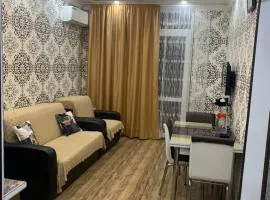 Gorgasali street Apartment