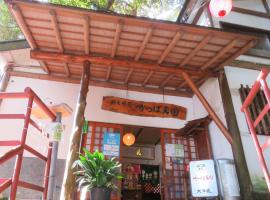 Kappa Tengoku, hotel v destinaci Hakone