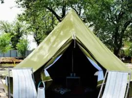 BELLTENT SAVICA