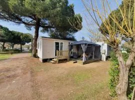 Camping à la Cotinière-Piscine-Bungalow cosy entre Océan et Pinède